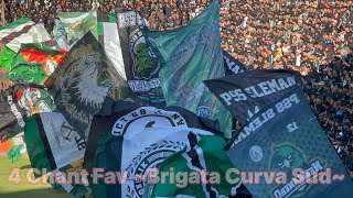 Chant BCS ini Enak Banget saat Laga PSS vs PSIS Liga 1 2023