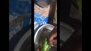 പച്ചമുളക് ഫ്രൈ 🔥🔥😋 green chilli dry fry 🔥 #experiment #challange