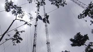 Cara Membuat Antena Wireless Berkualitas Tinggi dengan Perangkat MikroTik