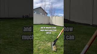 Dethatching you grass for a healthy lawn