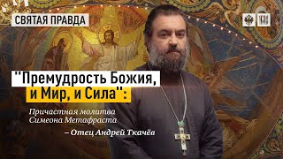 "ПРЕМУДРОСТЬ БОЖИЯ, И МИР, И СИЛА": ПРИЧАСТНАЯ МОЛИТВА СИМЕОНА МЕТАФРАСТА — ОТЕЦ АНДРЕЙ ТКАЧЁВ