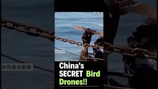 China's SECRET Bird Drones!  😱  #AInews