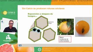 Propuesta de fertirrigación y la importancia del calcio en el cultivo de cítricos