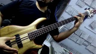 Frank Sinatra - Fly Me To The Moon // BASS COVER