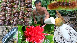 Wild Snail Catching & Cooking | Arunachal Pradesh North East India