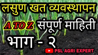 संपूर्ण लसूण खत व्यवस्थापन भाग - 2,Garlic fertilizer Manegement Part - 2 .PSL AGRI EXPERT,