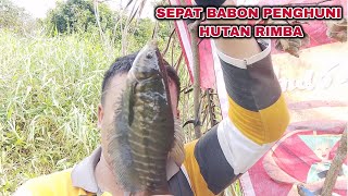 Ediaann || Spotnya di Piggiran Hutan Membuat Orang Jarang Mancing Disini