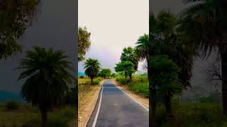 Maroon colour sreeya #viral #travling #trend #roadtrip #road #bhojpuri #youtubeshorts #subscribe