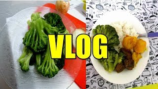 COZINHANDO BRÓCOLIS PELA PRIMEIRA VEZ - UM VLOG NA COZINHA - DA ROTINA MORANDO SOZINHA