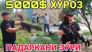 5000$ ХУРОЗ КИЗИ ПАДАРКА КИЛИНДИ