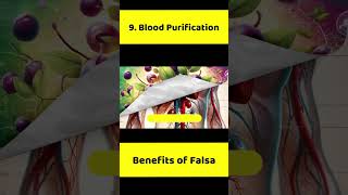 Health Benefits of Black Currant | Falsay k Fayde #falsa #falsajuice #falsajuicerecipe #blackcurrant