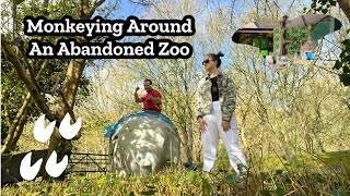 Monkeying Around An Abandoned Zoo