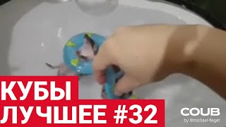 Best Coubs | Кубы лучшее #32