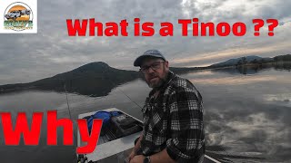 The ultimate skinny tinny first boat test. THE TINOO