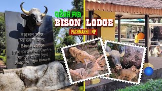 Bison Lodge Pachmarhi I Museum I বাইসন লজ পাচমাড়ি