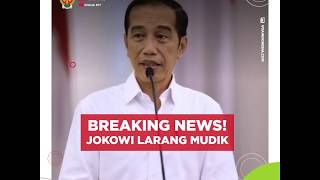 BREAKING NEWS: PRESIDEN JOKOWI LARANG MUDIK