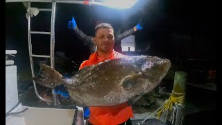 Spearfishing open grouper 2024 III