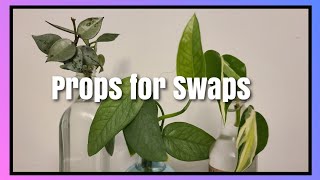 It's Plant Swap Season! Let's Prepare