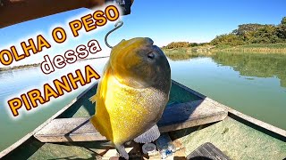 O PEIXE QUE TODO PESCADOR GOSTA