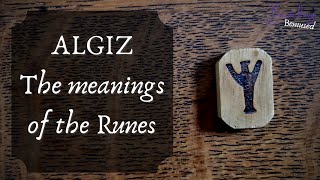 Algiz - The Meanings of the Runes - Elhaz