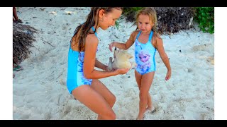 Children playing with the puppy on the beach. 4K