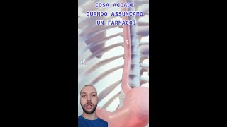 Cosa Accade Quando Assumiamo Un Farmaco?