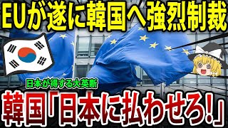 EUが韓国へ強烈制裁発動‼日本が得する最高英断！【海外の反応】【ゆっくり解説】