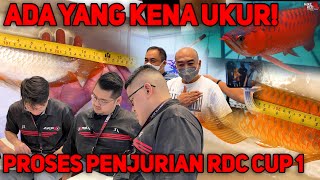 PENJURIAN AROWANA DI RDC CUP 1! IKUT RDC TEAM MENJURI ARWANA SUPER RED DI AKPX RDC CUP 1