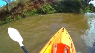 Kayak: Raglan, New Zealand