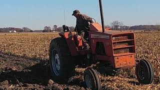 Allis Chalmers XT190 and Ford 8000 plowing at the DuValls 2023.