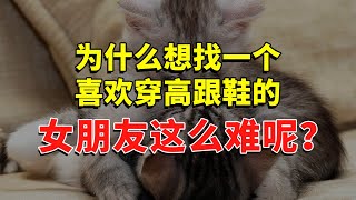 为什么想找一个喜欢穿高跟鞋的女朋友这么难呢？ #今日话题  #每日段子