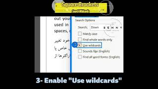 How to use Square Brackets in Wildcards in Word's Find and Replace