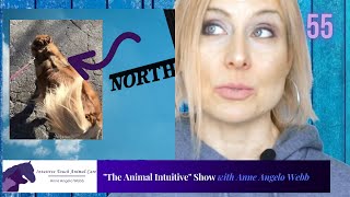 Animal Communication Dog "Business" Earth's Magnetics | Ep 55