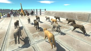 Trying to escape from WOLF PACK - Animal Revolt Battle Simulator ARBS