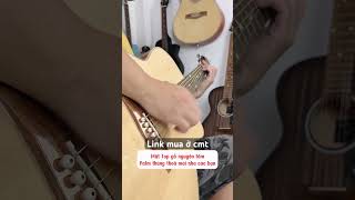 Guitar mới tập chơi chọn cây nào #guitar #hocguitar #nhuquynhthichhatbaigi