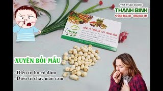 Xuyên Bối Mẫu | Công dụng của xuyên bối mẫu