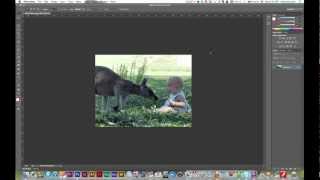 Photoshop CS6 Actions and Batch Automation