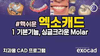 치과 캐드디자인 기초강의 #1 프로젝트, 기본기능, 싱글 디자인 #핵쉬운 엑소캐드 / how to design single molar crown with exocad