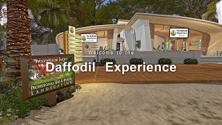 The Daffodil Experience