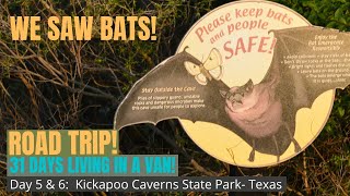 Kickapoo Caverns State Park | Texas | Bat Flight and Trails