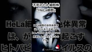 不死のHeLa細胞