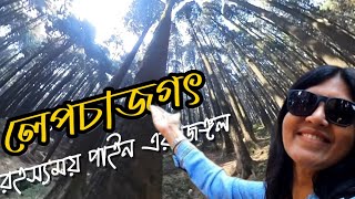 লেপচাজগৎ রহস্যময় পাইনের জঙ্গল |Lepchajagat Tour Plan|Lepchajagat Darjeeling|Lepchajagat