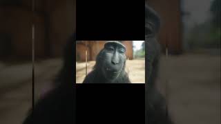 your friend #fypシ゚viral #fyptiktok #fyp #trend #funny  #meme #monkey