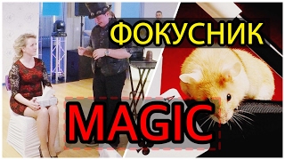 MAGIC - ИЛЛЮЗИОНИСТ