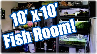 How I Built a Home Fish Room |10' x 10' Office Conversion.