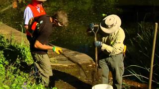 World Water Day 10 year anniversary of Mermaids Pool Clean up