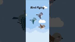 Bird flying #nature #birdsong #birds #birdrelaxingmusic #youtube #learning #language #enjoy #share