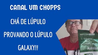 Provando lúpulos...chá de lúpulo Galaxy