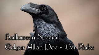 Der Rabe (Edgar Allan Poe) | Halloween Special