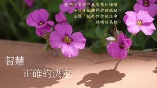 靈修:智慧-正確的決定 20241001